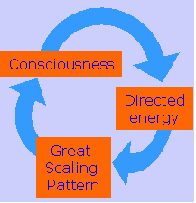 The universal cycle
                                in diagram